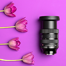 Sigma 24-70mm f/2,8 DG DN II Art für Sony E-Mount